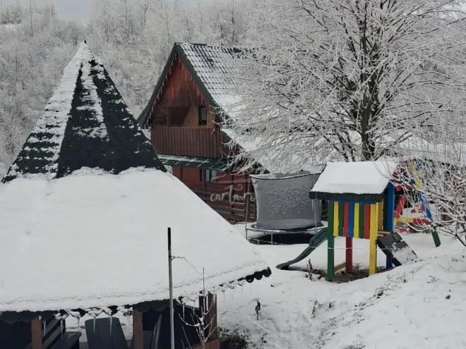 Cabana DE LA POALELE PADURII