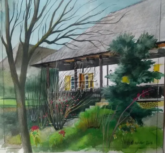 Casa PINTEA-BUCOVINA